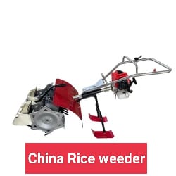 Chinese Rice Weeder